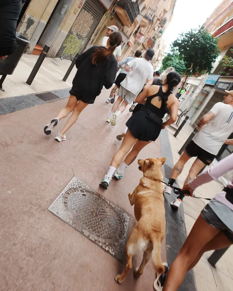 Runners on a sidewalk with a golden dog