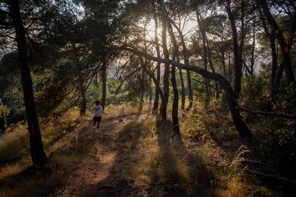 A runner on a dirt path through pine trees, with sun coming through the branches